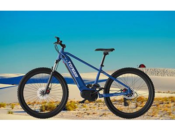 TG-M007 Electric Mountain Bike