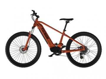 Electric Mountain Bike