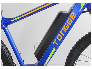 TG-M005 Electric Mountain Bike