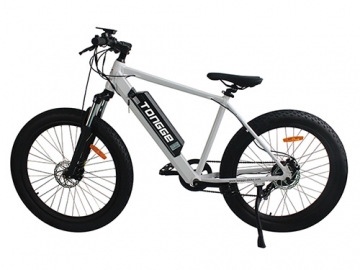 Electric Mountain Bike