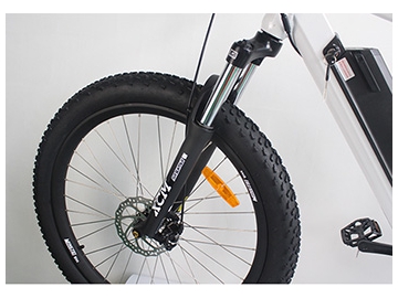 TG-M009 Electric Mountain Bike