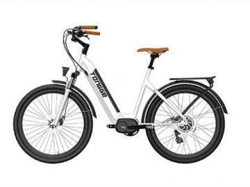 Electric City Bike