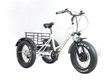 Electric Tricycle