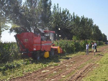 4YZ-4BH Corn Combine Forage Harvester