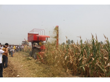 4QZ-1800 Tractor Driven Forage Harvester