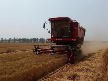 Grain Combine Harvesting Machine