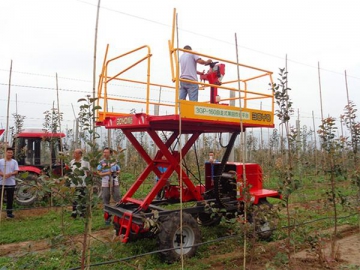 Low-Speed Vehicle Orchard Platform