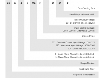 CAG6-1/250F-38 AC-AC 40A Single Phase Solid State Relay