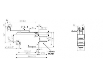 NV-16G1/21G1 Roller Lever Micro switch