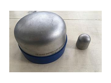 Other Stainless Steel Pipe Fittings (Pipe Cross, Pipe Cap, Stub End)