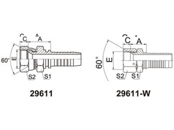 29611(W) BSP Female 60° Cone Fittings