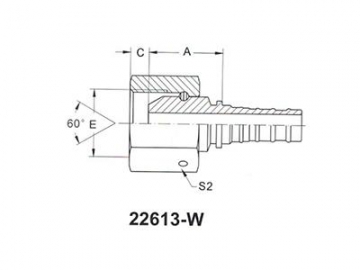 29613-W BSP Female Fittings 60° Cone