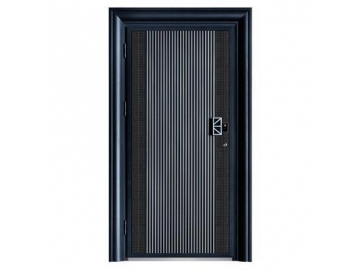 Municipal Building Aluminum Entry Door