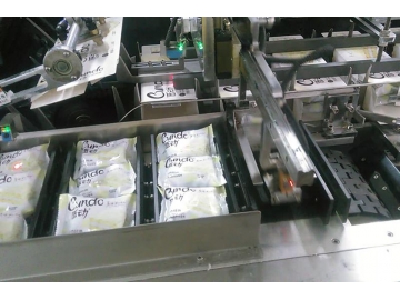 KXZ-130B Packaging Machine, Cartoning Machine