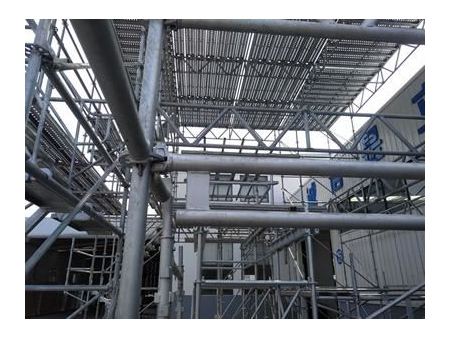 Scaffold Double Ledger