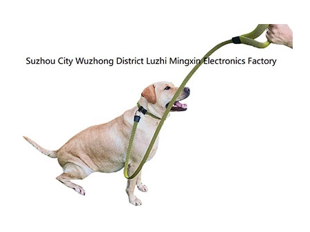 Dog Leash and Collar (Patented in EU, China)