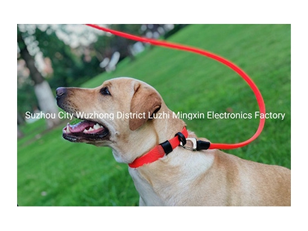 Dog Leash and Collar (Patented in EU, China)