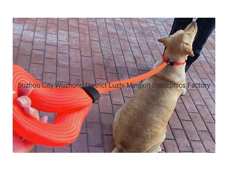 Dog Leash and Collar (Patented in EU, China)