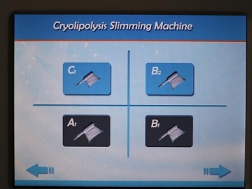 Fat Freezing Machine for Reducing Fat