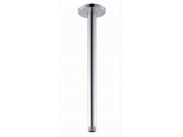 Shower Arm