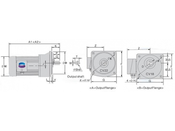 Vertical Speed Reducer Gear Motors