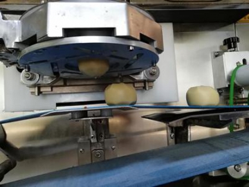 Automatic Dough Encrusting Machine