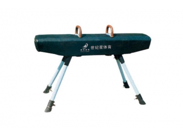 Gymnastics Pommel Horse