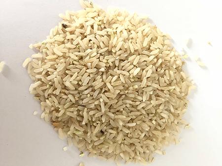 Vertical Emery Roll Rice Whitener, Type MNSL