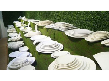 Dinnerware Showroom