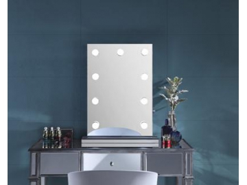 Vanity Makeup Mirror with LED Light