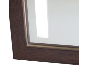 Framed Glass Mirror with LED Light Tube