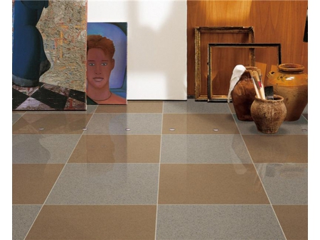 Dotted Polished Porcelain Tile