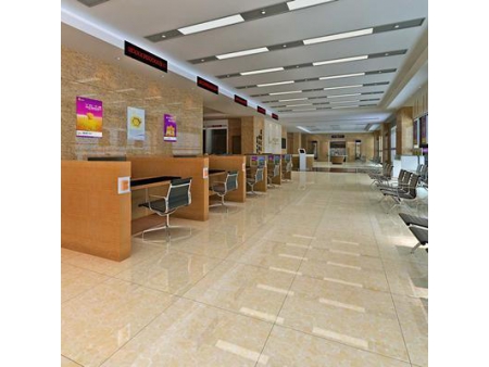 Decorative Polished Porcelain Tile