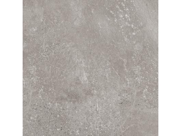 Locke Style Glazed Porcelain Tile