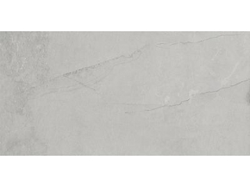 Modern Rustic Porcelain Tile