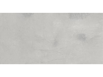 Modern Rustic Porcelain Tile