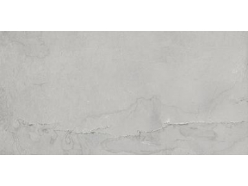 Modern Rustic Porcelain Tile
