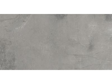 Modern Rustic Porcelain Tile