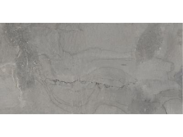 Modern Rustic Porcelain Tile