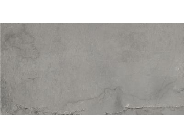 Modern Rustic Porcelain Tile