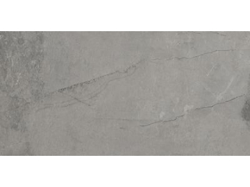 Modern Rustic Porcelain Tile
