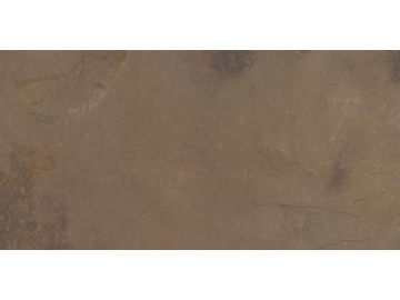 Modern Rustic Porcelain Tile