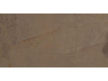 Modern Rustic Porcelain Tile