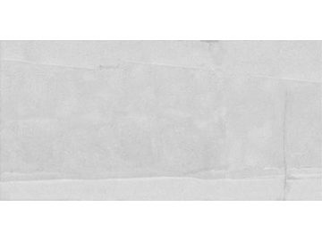 Light Grey Rustic Porcelain Tile