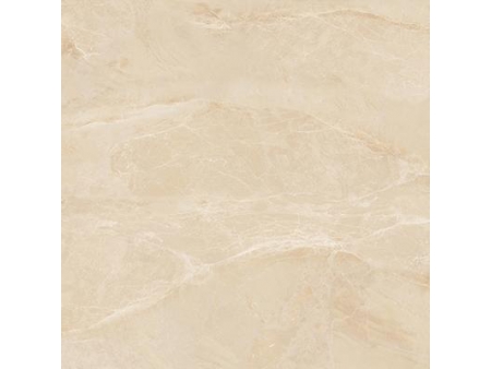 Beige and Brown Marble Tile