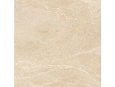 Beige and Brown Marble Tile