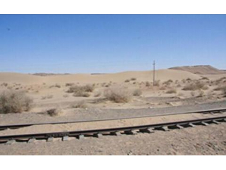 Sand fence for desert