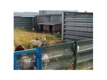 Pasture Fence