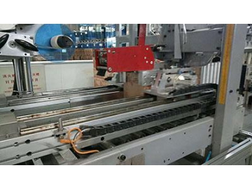 Piston Filling and Packing Line