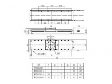 WN220TA(50-300)S-G  Motorized Linear Stage